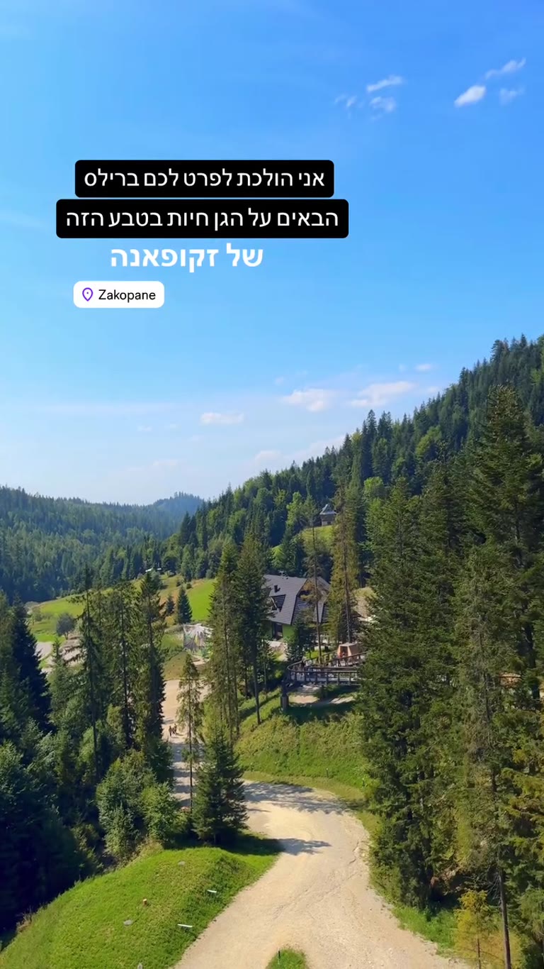 Treetop walk & wildlife park near Zakopane