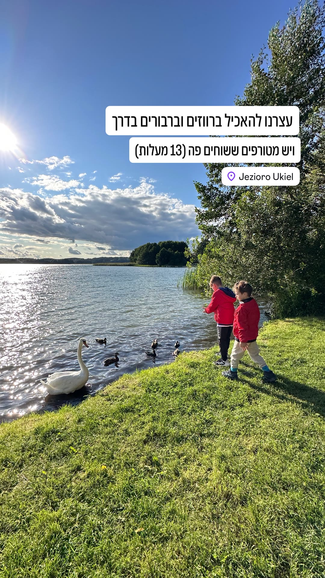עצירה להאכיל ברבורים באגם Ukiel, אולשטין