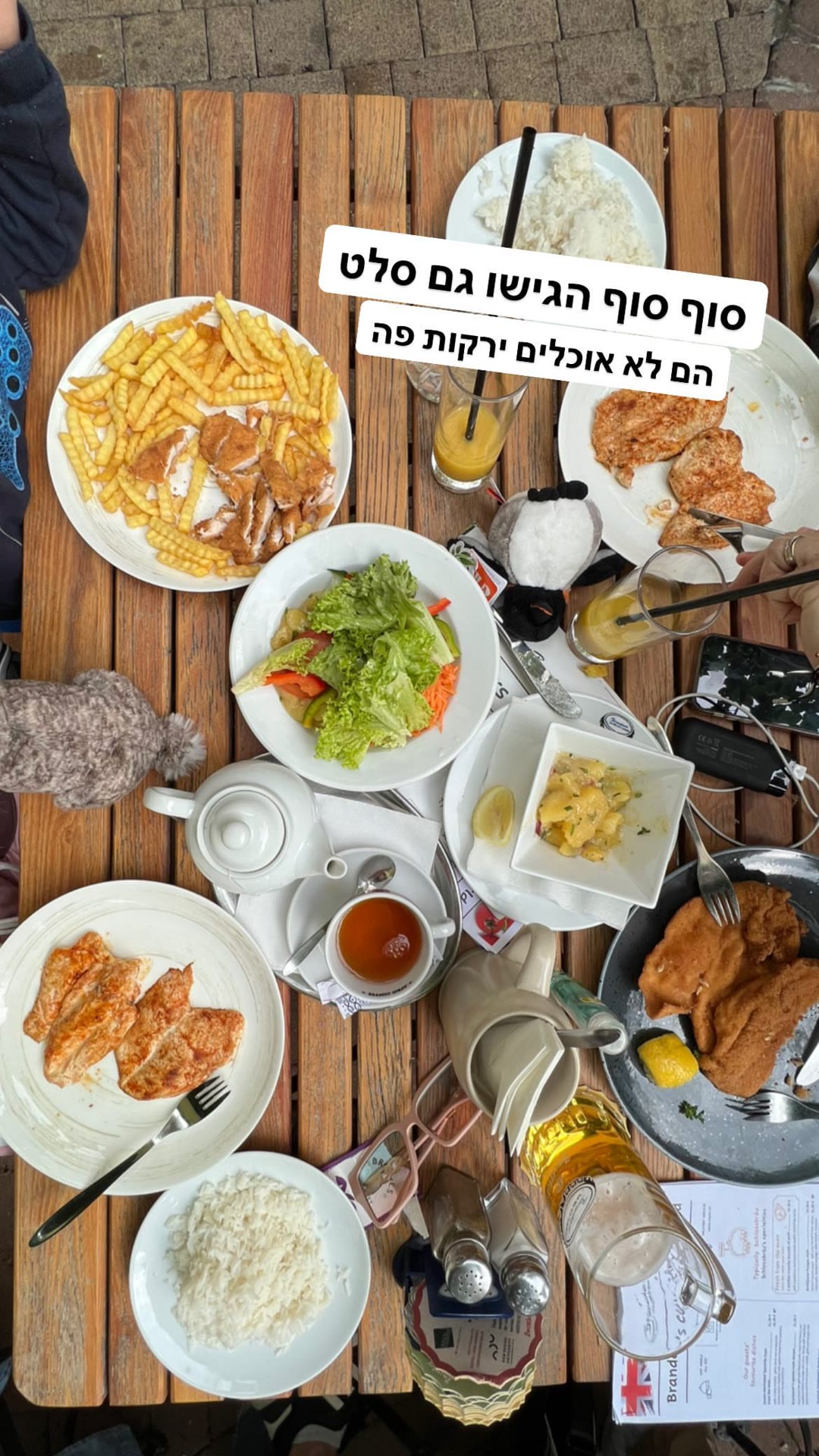 ארוחת שניצל וינאית עם הילדים בוינה