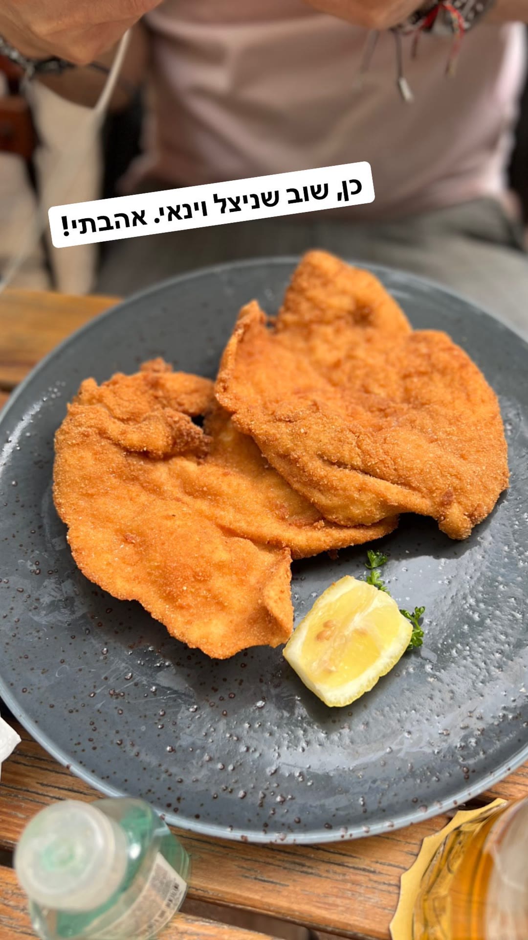 שניצל וינאי בוינה — אהבתי