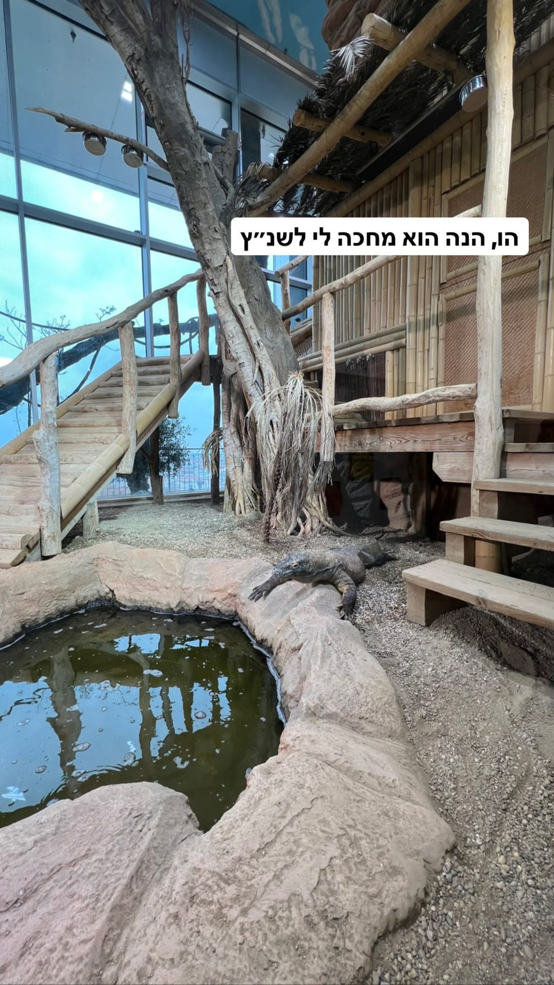 קומודו בווינה – ביקור בתצוגת זוחלים
