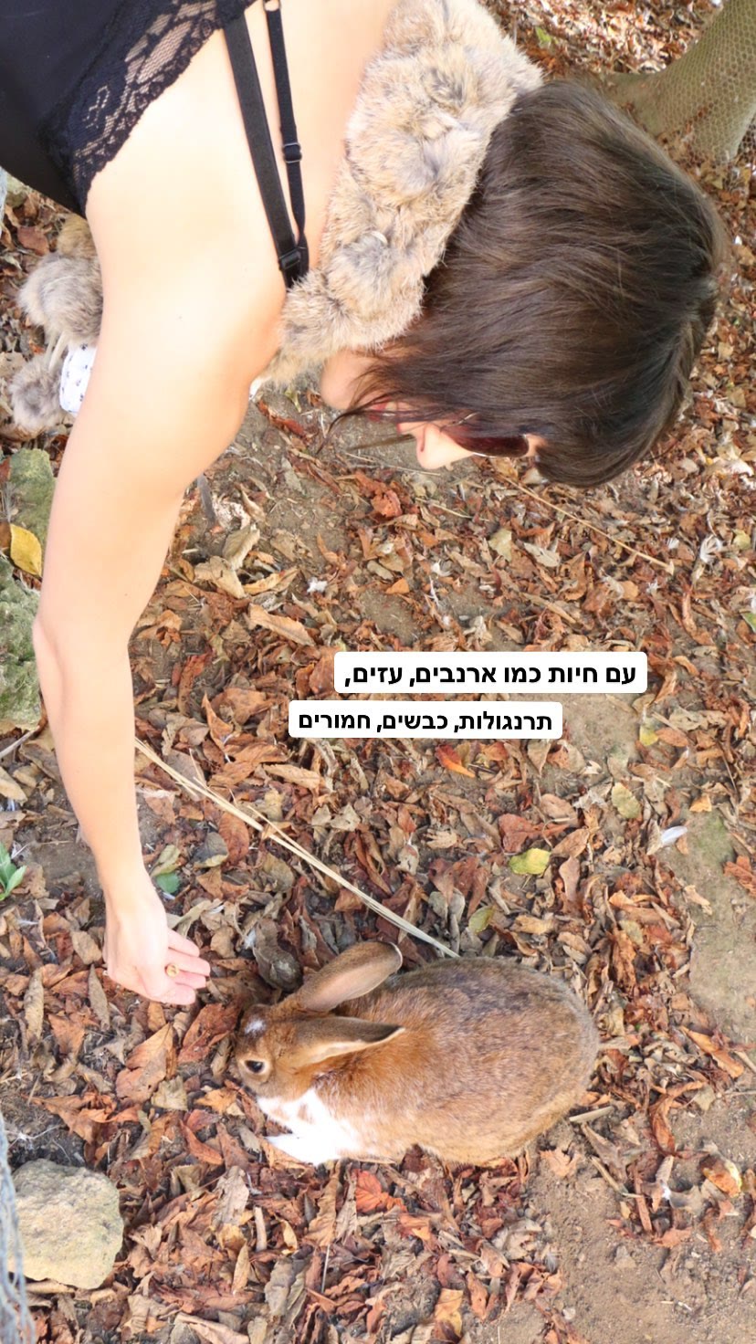 חיות משק בפארק בפריז