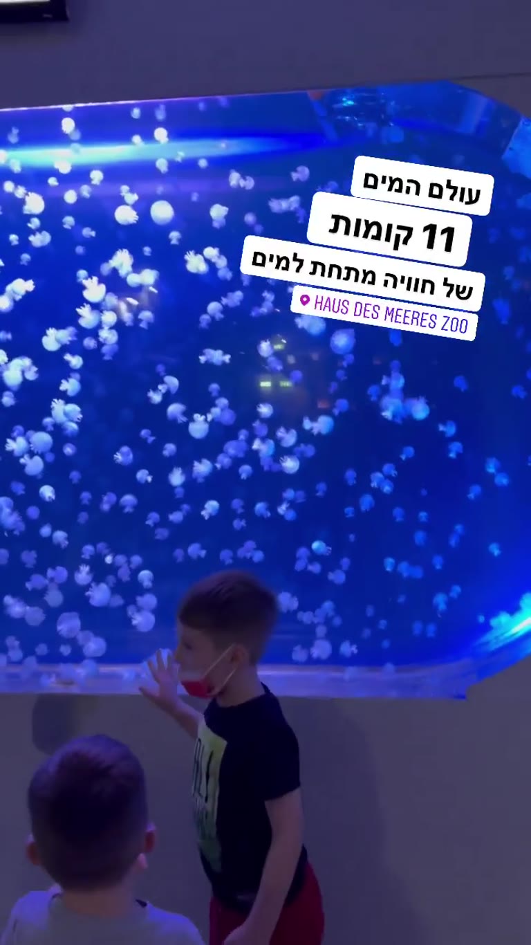 Haus des Meeres: 11 floors of aquarium in Vienna