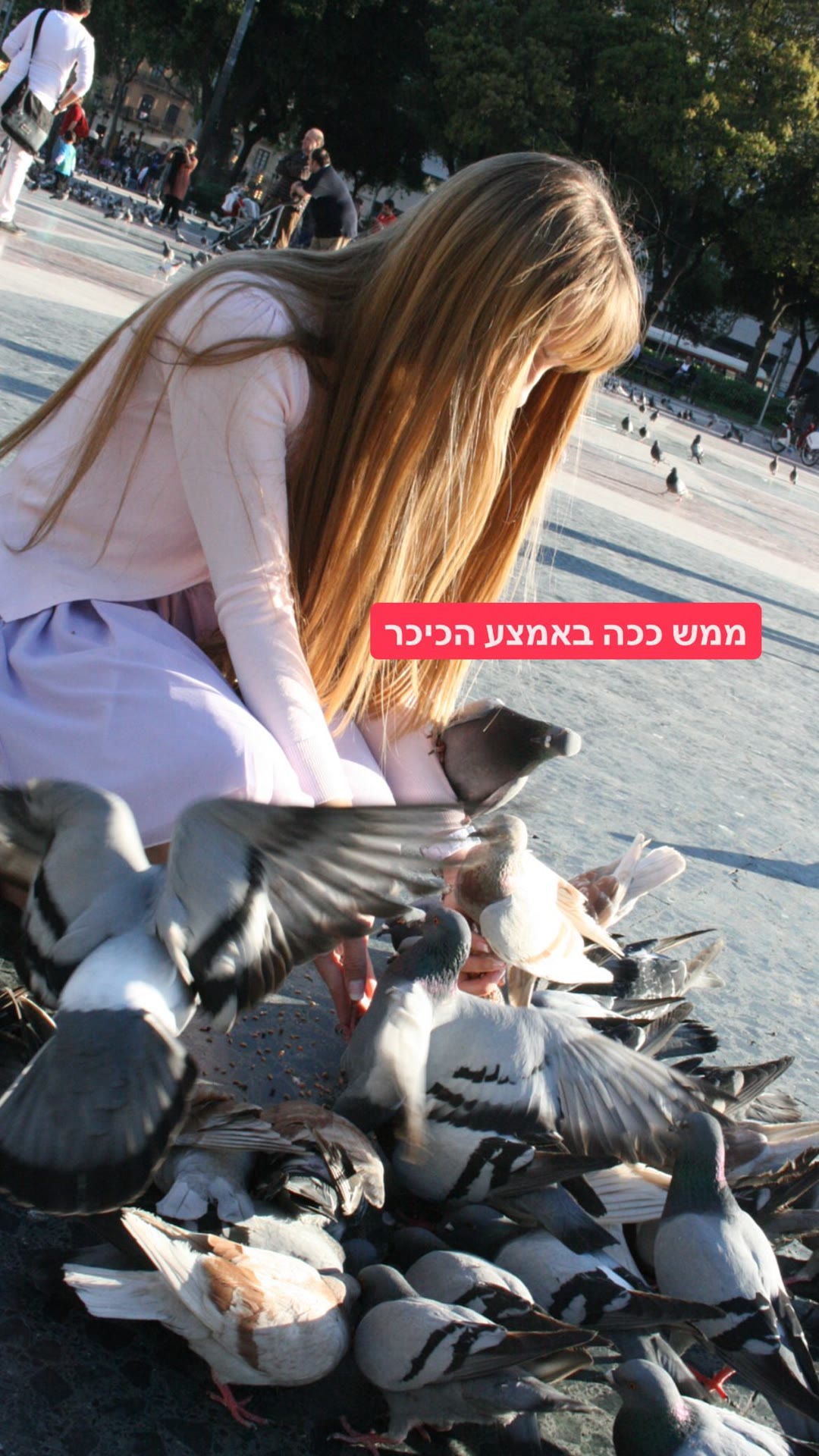 האכלת יונים בכיכר בברצלונה