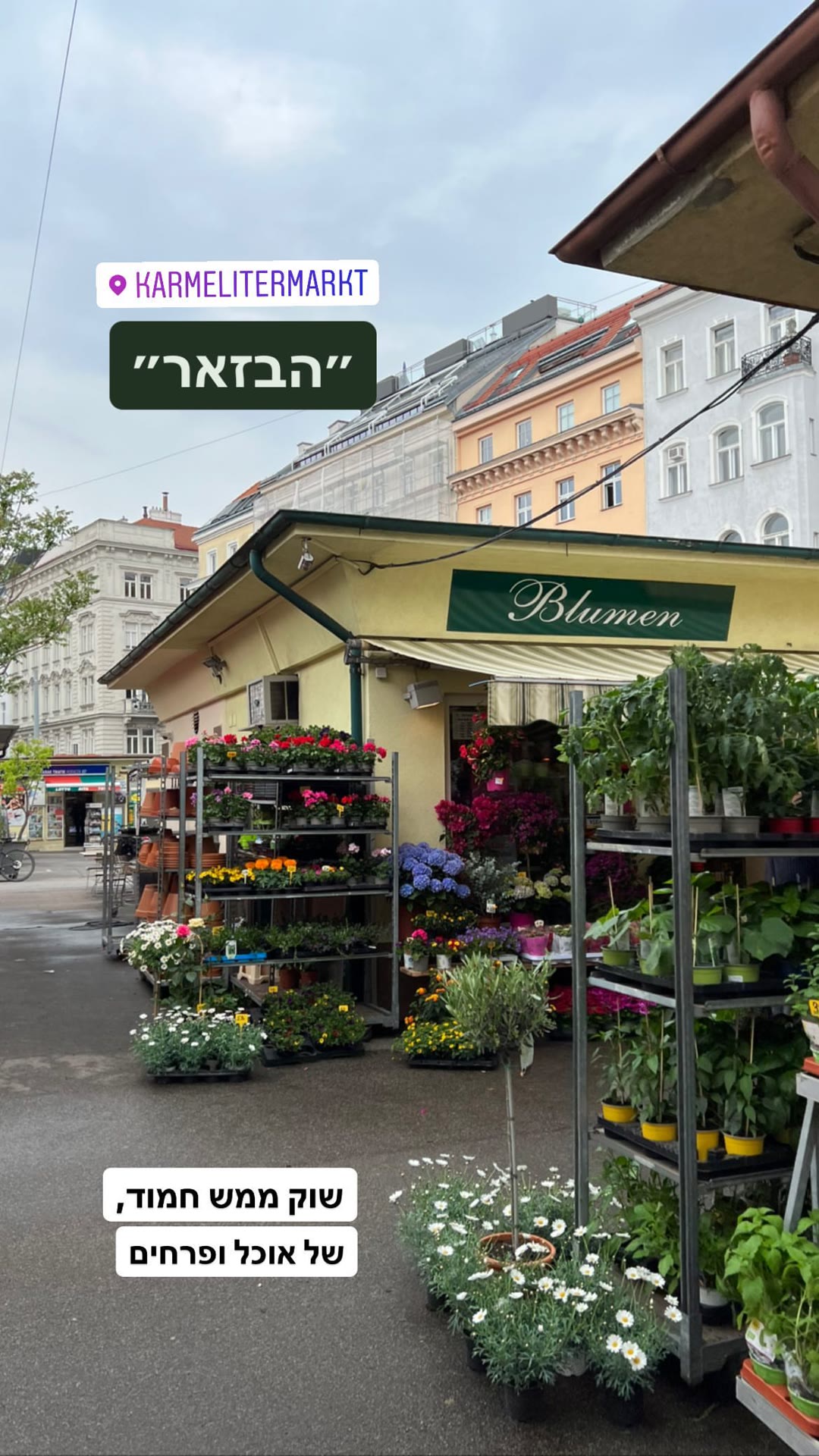 Karmelitermarkt — Vienna's food & flower market