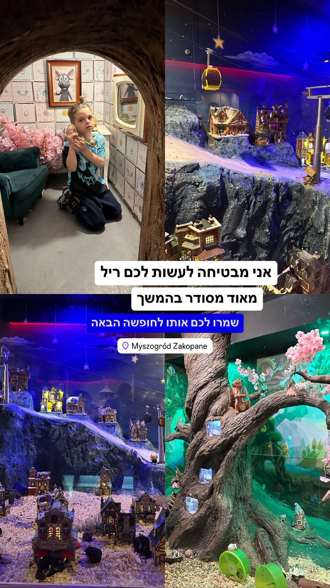 Myszogród – עיר העכברים בזקופנה