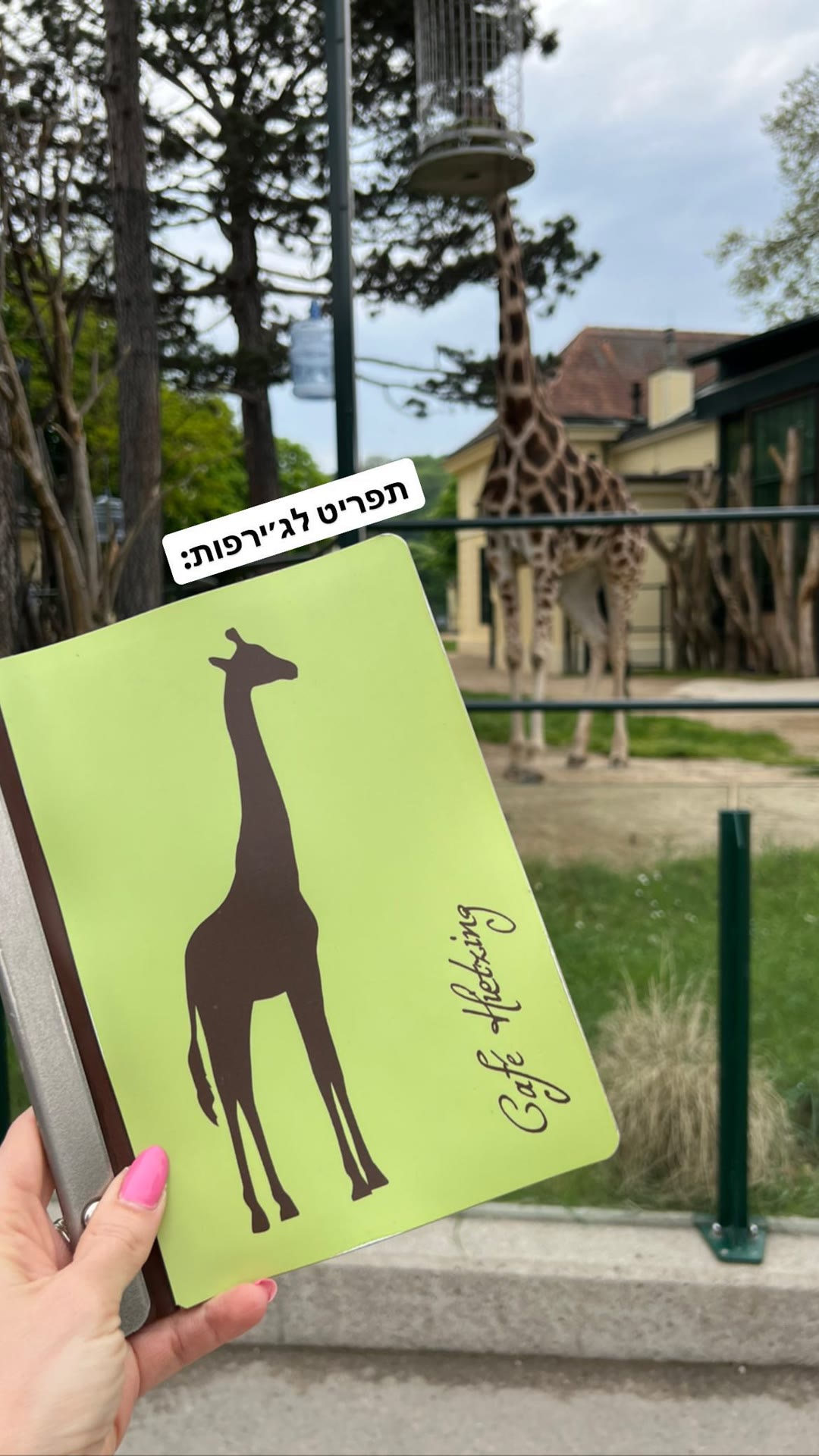 Café Hietzing beside the giraffes, Vienna Zoo