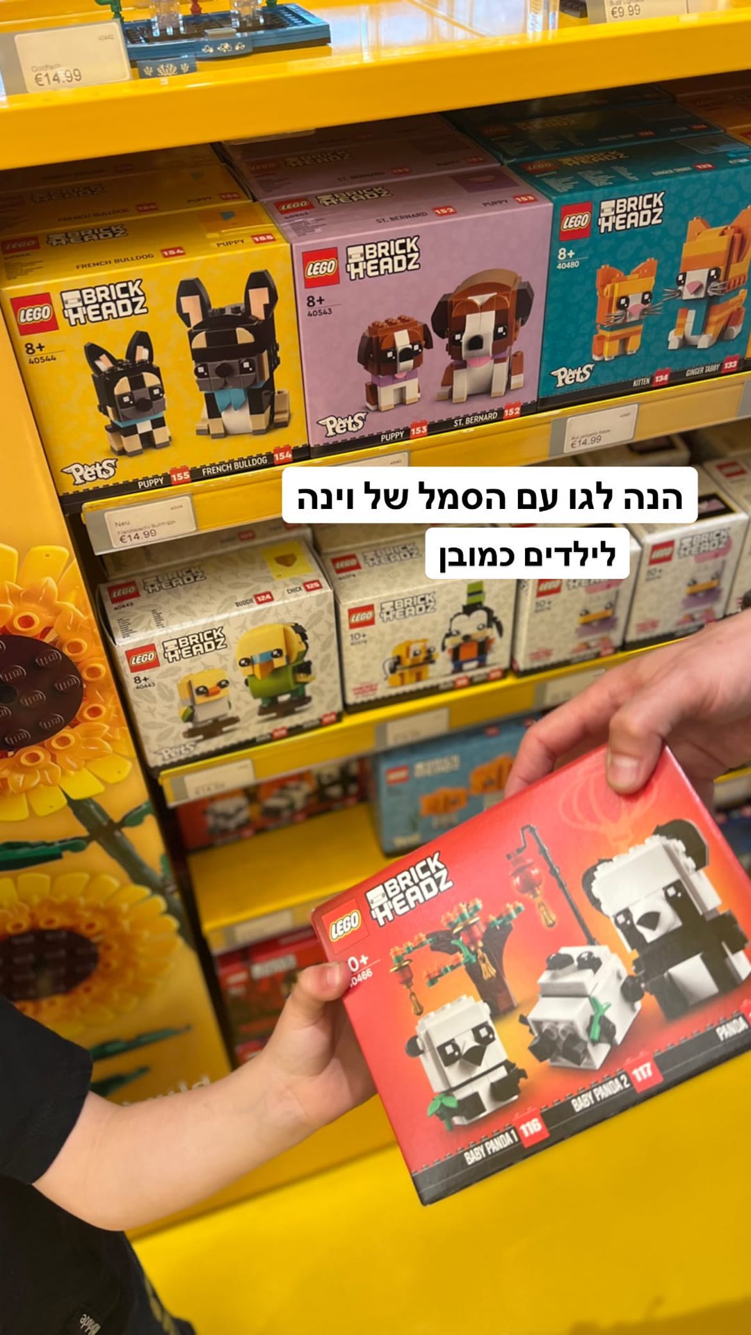 חנות לגו בוינה — סטים לילדים