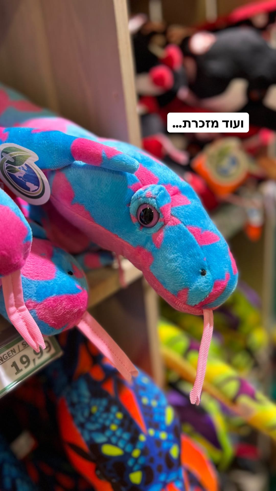 חנות מזכרות בוינה – נחשי פלוש