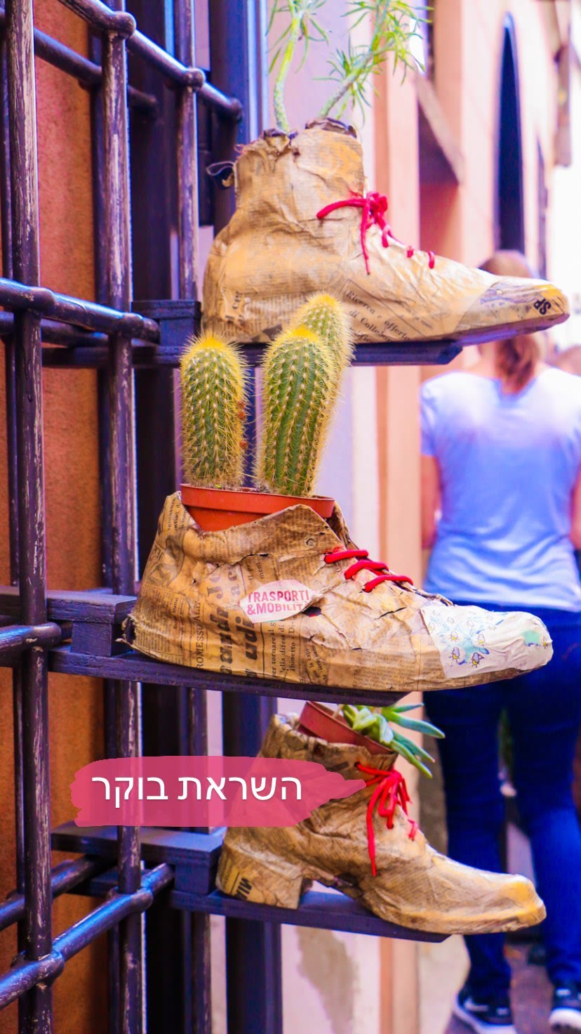 נעליים-עציצים בסמטה ברומא
