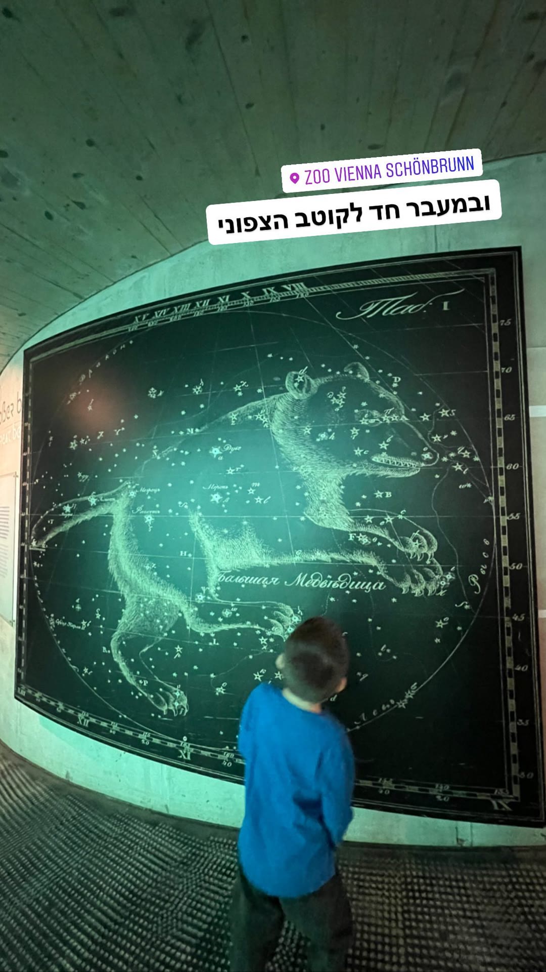 Zoo Schönbrunn: מעבר חד לקוטב הצפוני
