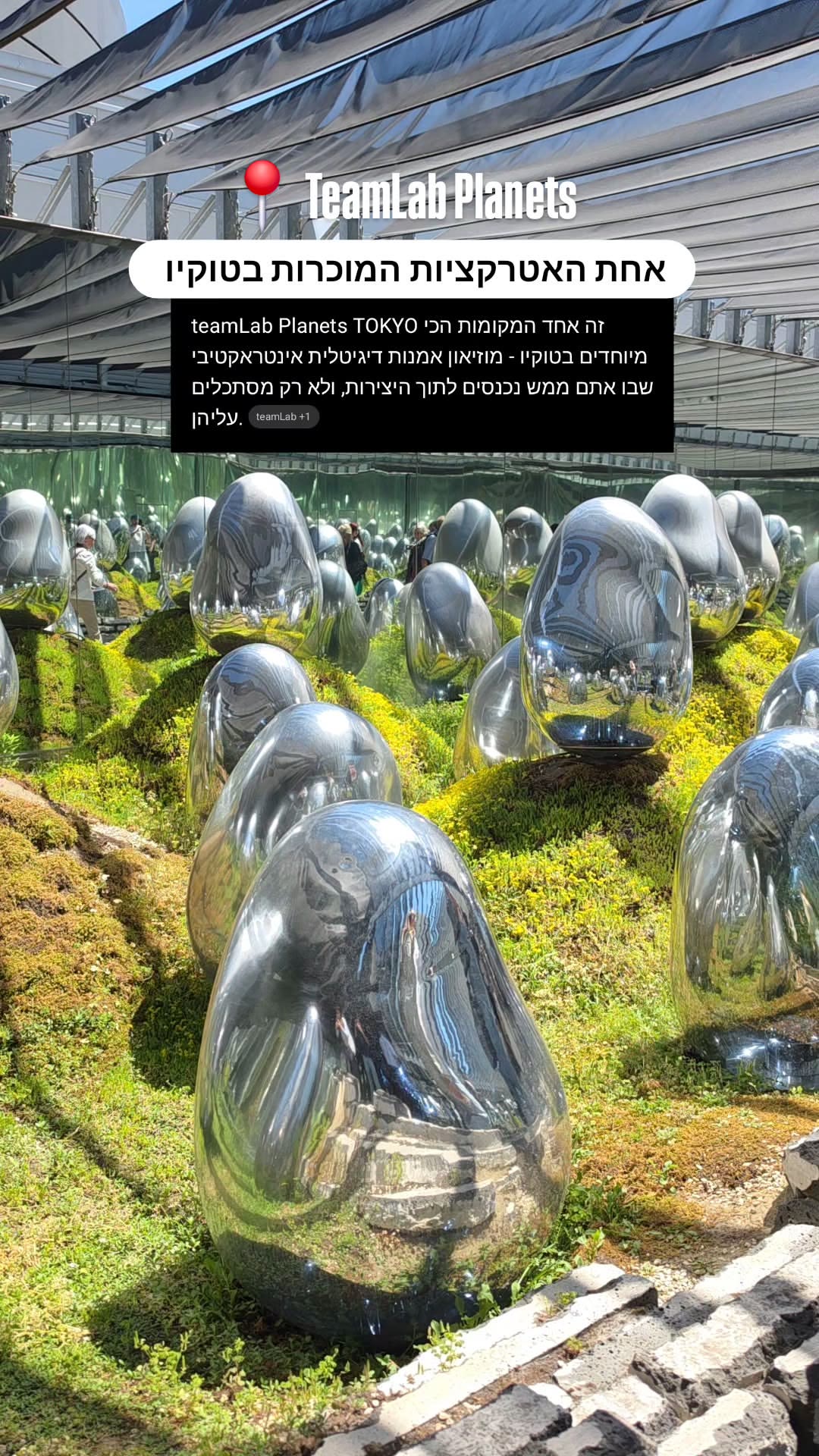 teamLab Planets TOKYO – מוזיאון אמנות דיגיטלית