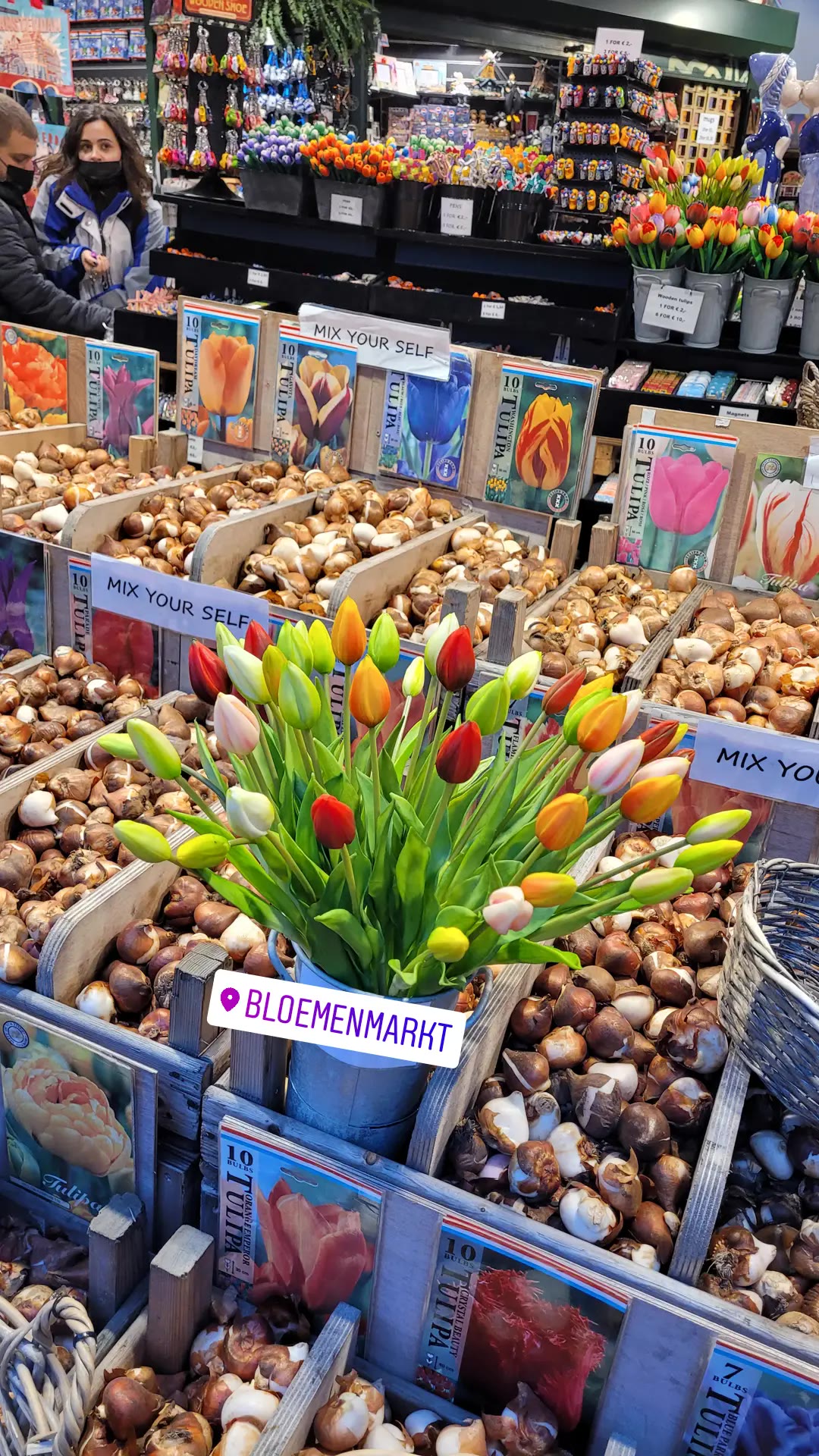 שוק הפרחים Bloemenmarkt באמסטרדם