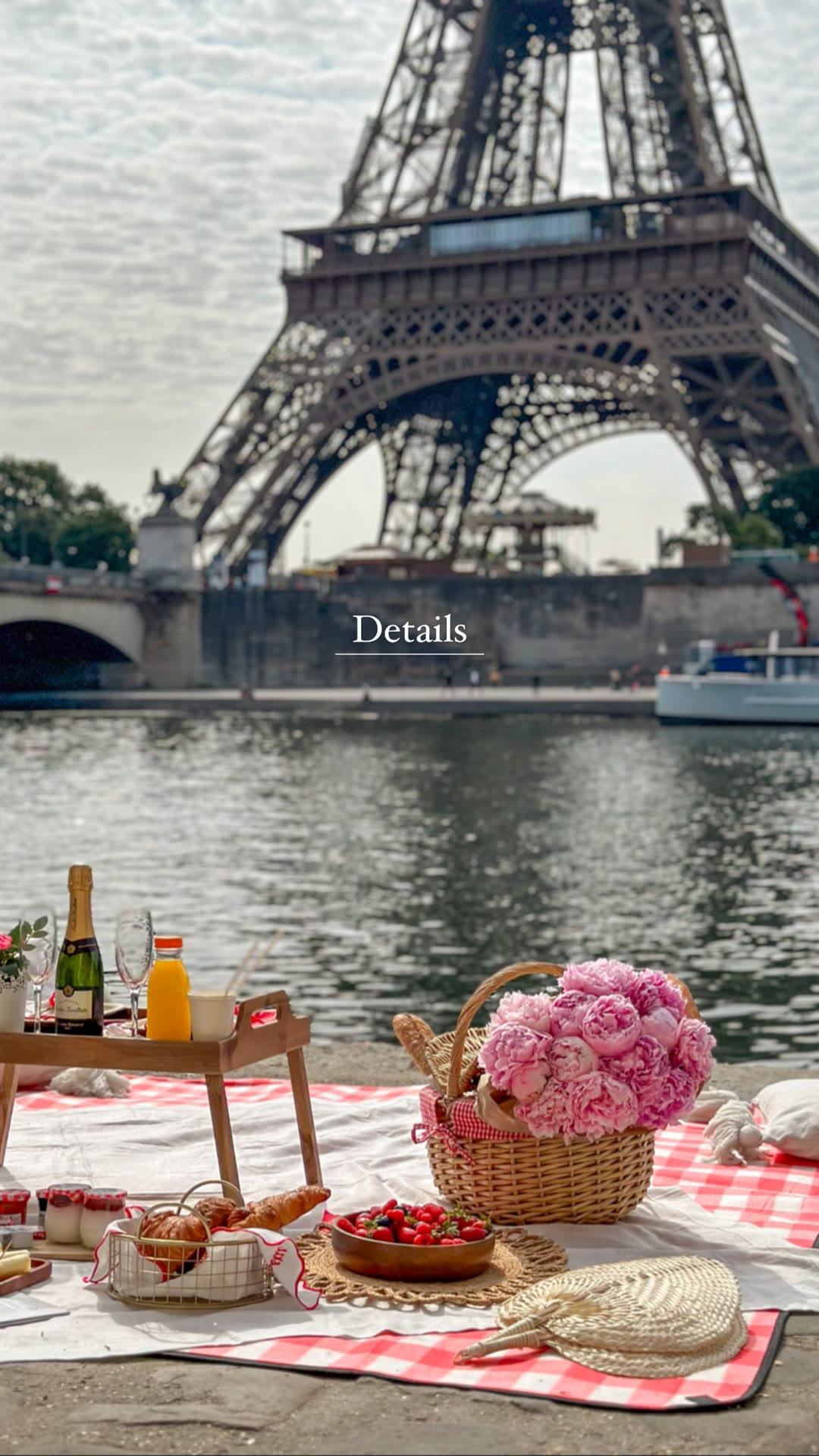 Seine-side picnic under the Eiffel Tower