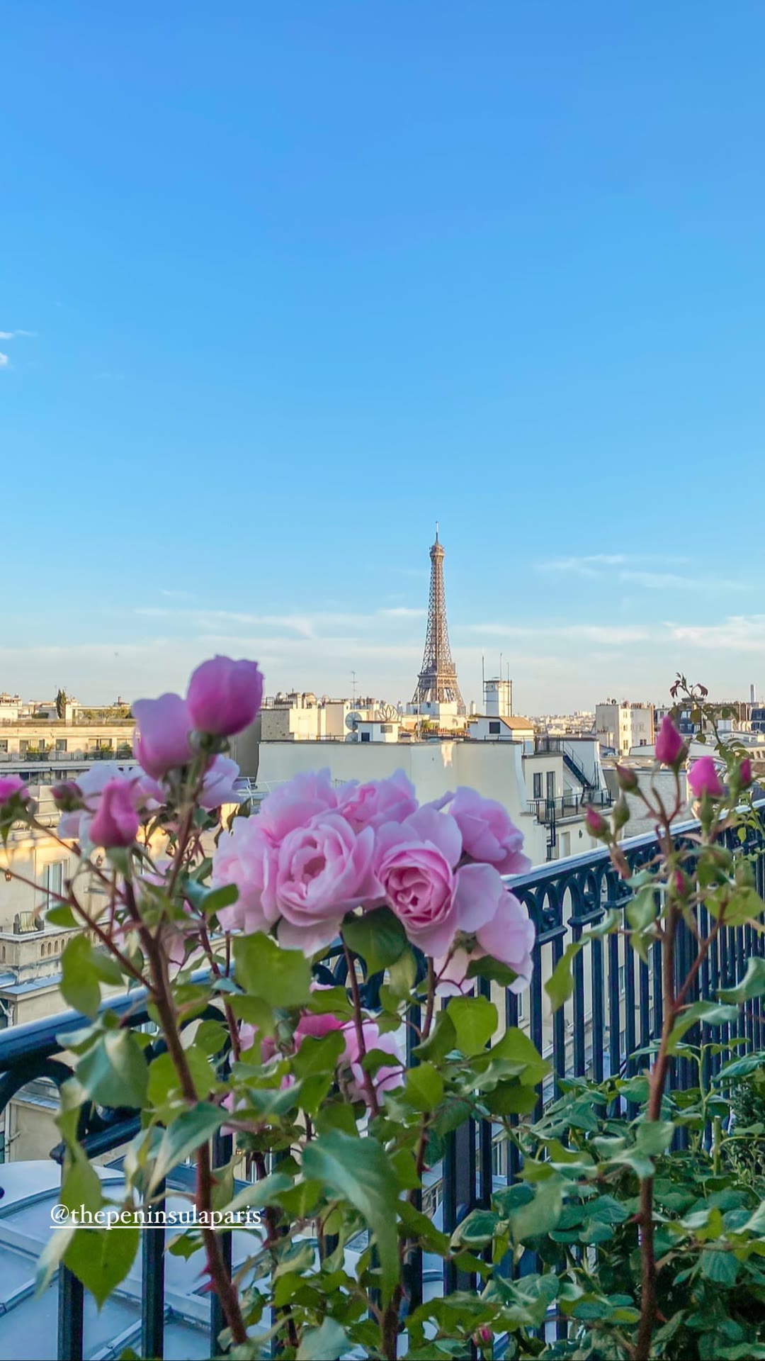Eiffel Tower view from The Peninsula Paris rooftop
