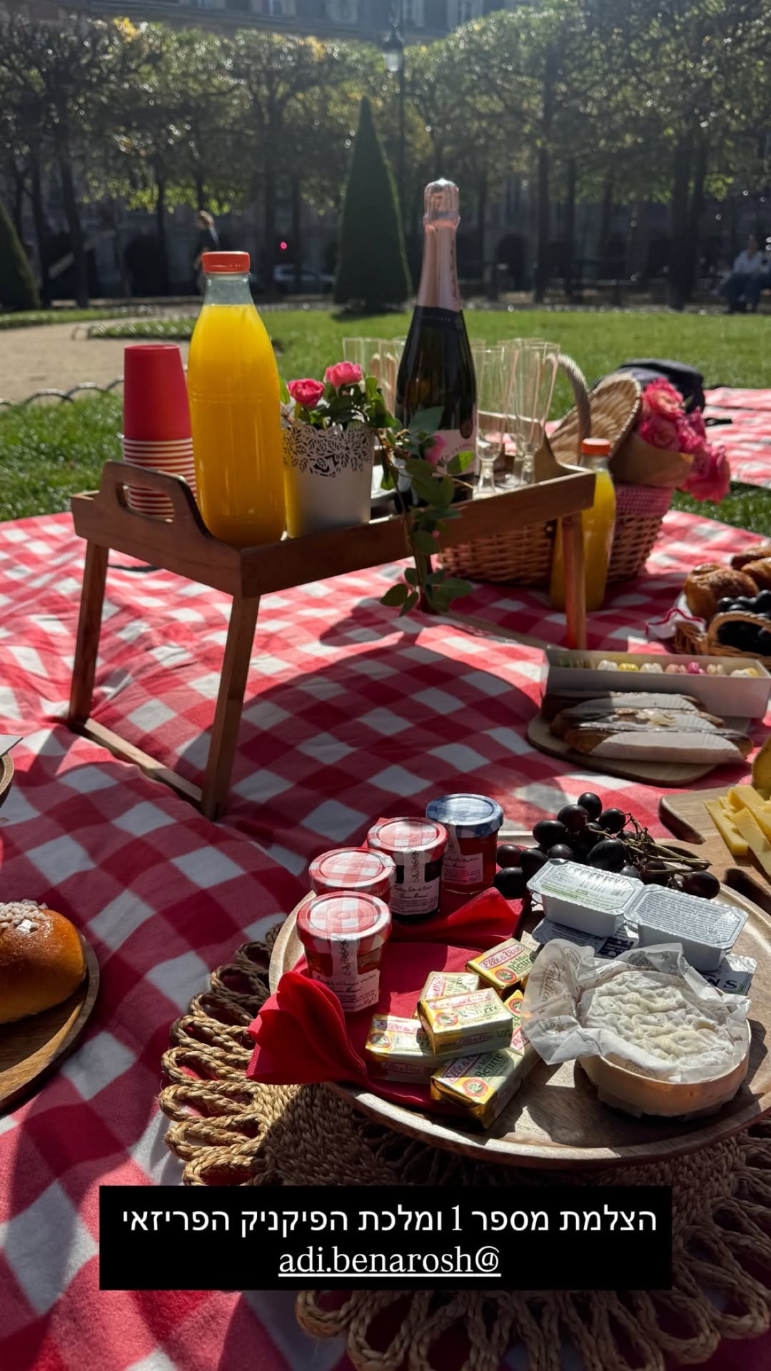 Parisian picnic in a Marais park