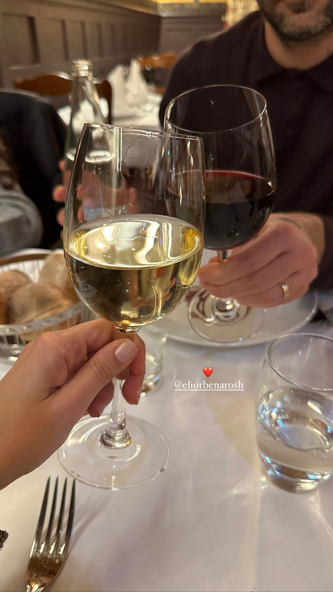 Wine toast at a Paris dinner