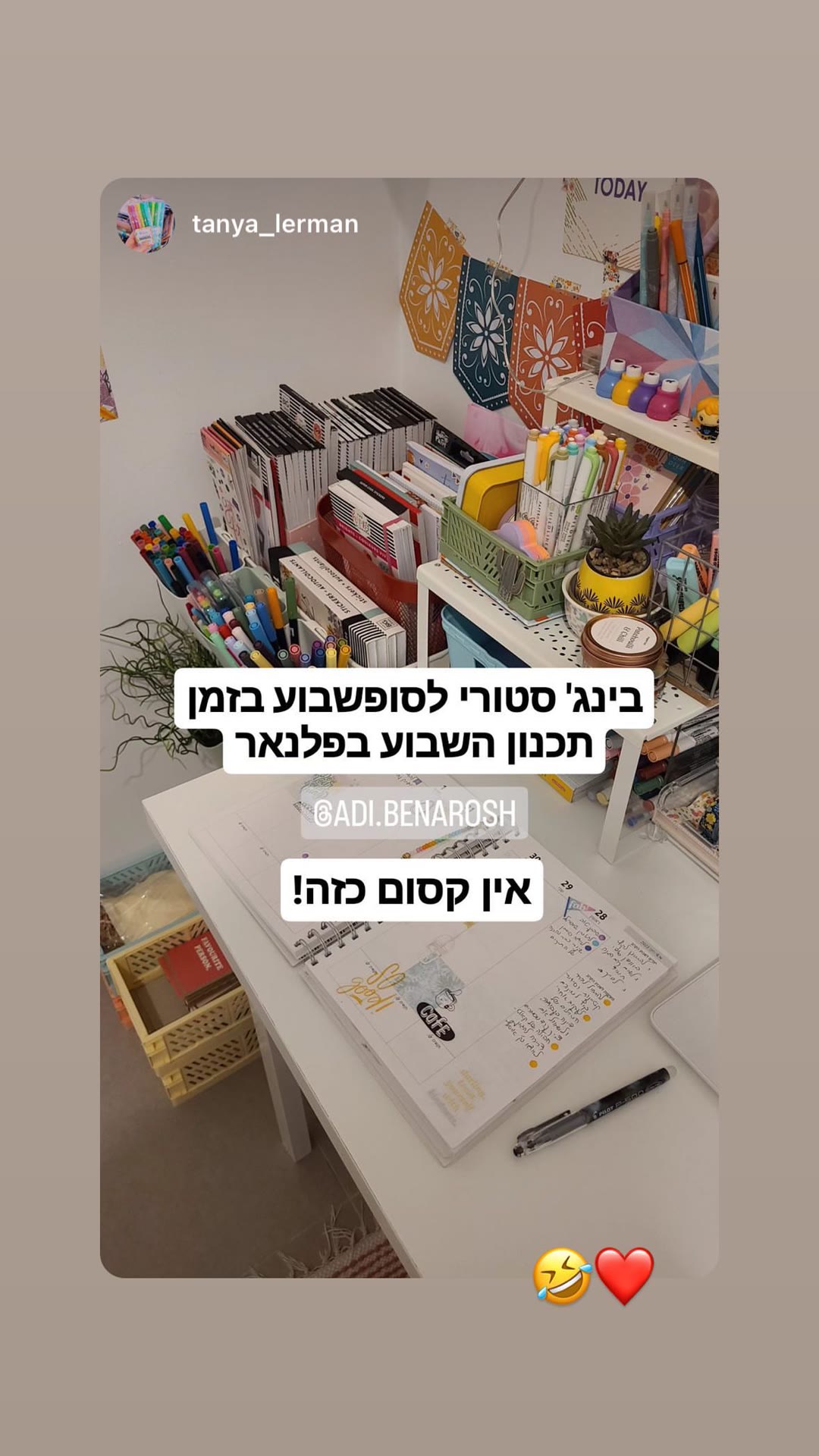 שיתוף סטורי: תכנון שבוע בפלנר