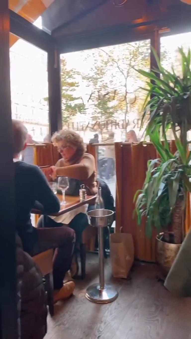 Lunch at a Paris bistro