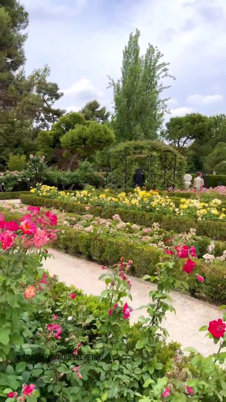 Rosaleda del Retiro in bloom, Madrid