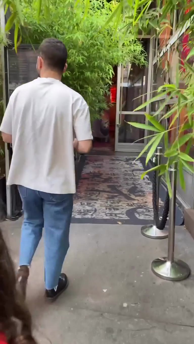 Entering an Asian restaurant in Paris