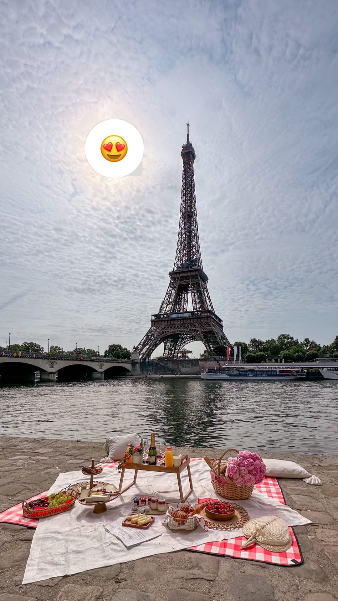 Seine-side picnic under the Eiffel Tower