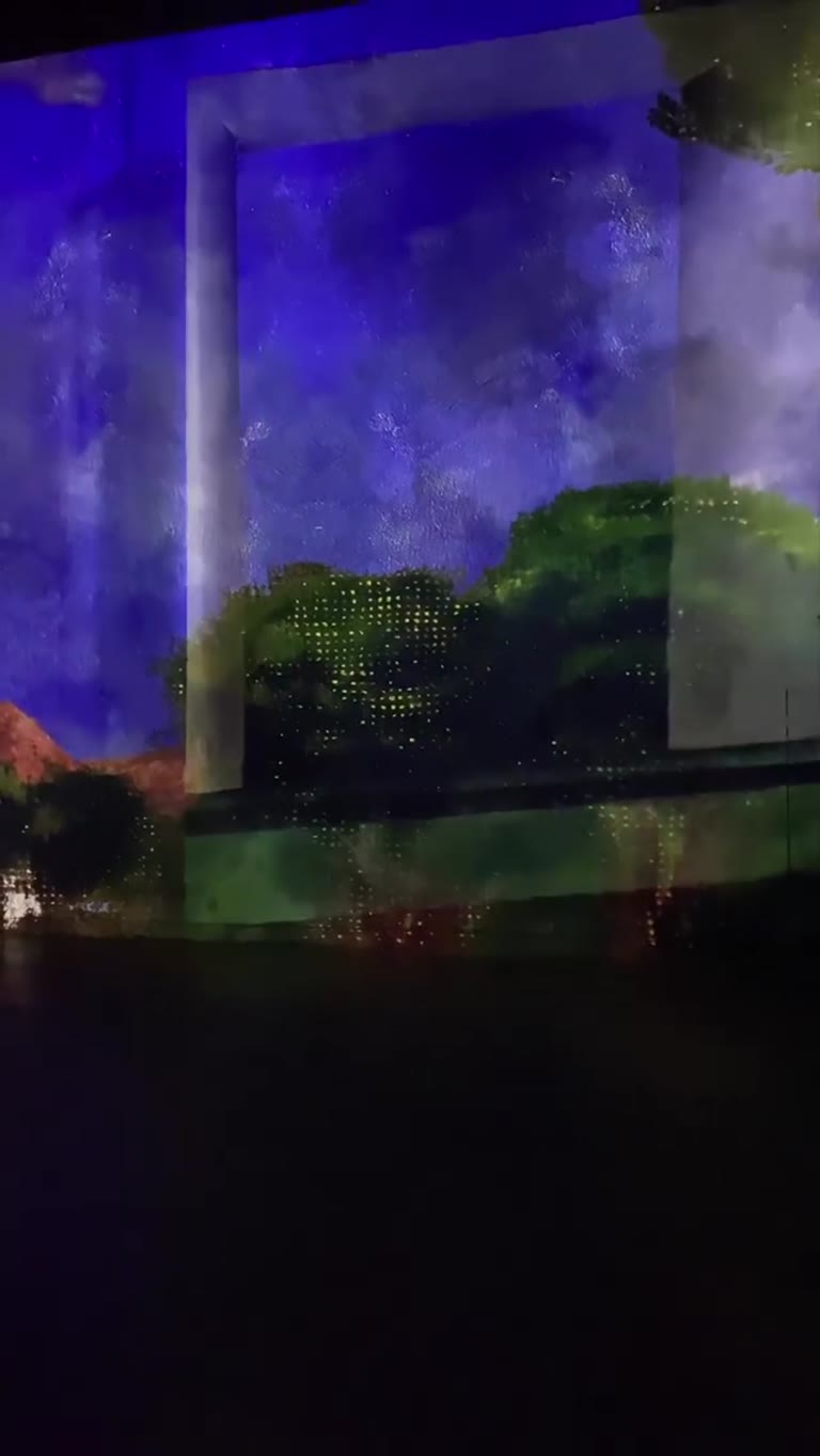Immersive Van Gogh projections in Paris